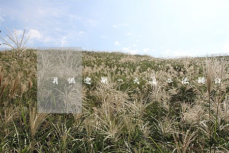 月供逾期一天没办法转公积金贷款 月供逾期一天没办法转公积金贷款