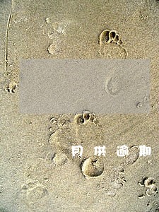 月供逾期三个月 月供逾期三个月