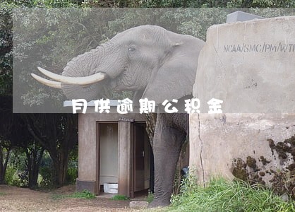 月供逾期公积金 月供逾期公积金