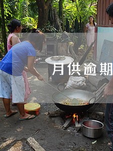 月供逾期半年会拍卖吗 月供逾期半年会拍卖吗