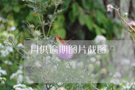 月供逾期图片截图 月供逾期图片截图
