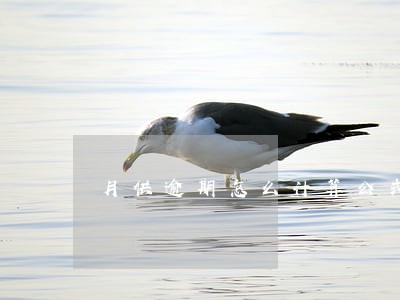 月供逾期怎么计算公式 月供逾期怎么计算公式