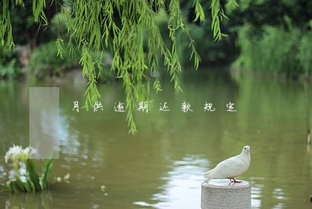 月供逾期还款规定 月供逾期还款规定