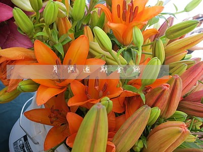 月供逾期金额 月供逾期金额