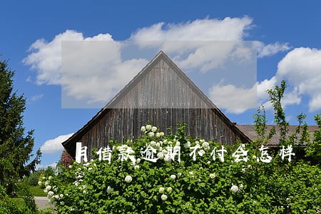 月借款逾期不付会怎样 月借款逾期不付会怎样