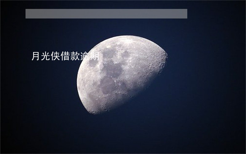 月光侠借款逾期