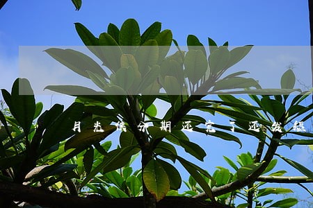 月光侠分期还完了还发短信说逾期 月光侠分期还完了还发短信说逾期