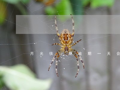 月光侠分期逾期一天会爆电话嘛 月光侠分期逾期一天会爆电话嘛