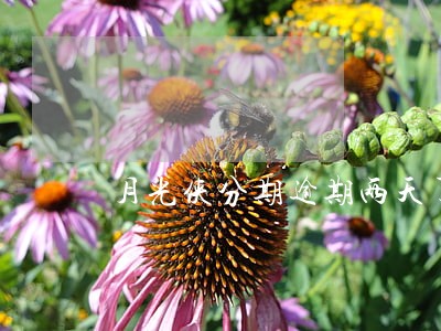 月光侠分期逾期两天了 月光侠分期逾期两天了