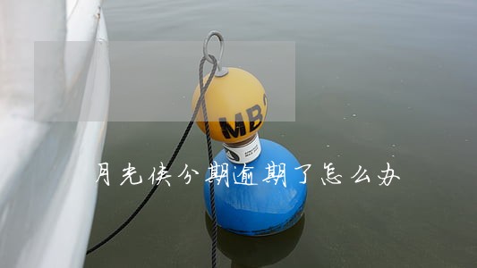 月光侠分期逾期了怎么办 月光侠分期逾期了怎么办