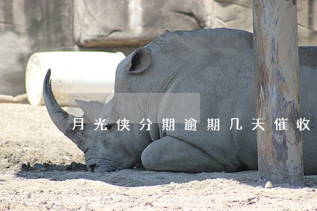 月光侠分期逾期几天催收 月光侠分期逾期几天催收