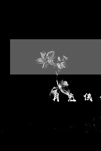 月光侠分期逾期费 月光侠分期逾期费
