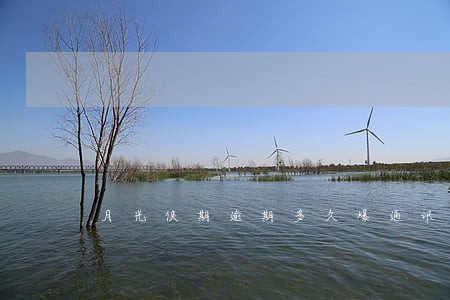 月光侠期逾期多久爆通讯录 月光侠期逾期多久爆通讯录