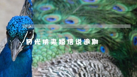 月光侠来短信说逾期 月光侠来短信说逾期