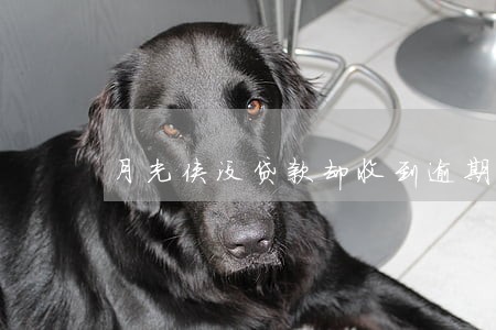 月光侠没贷款却收到逾期短信 月光侠没贷款却收到逾期短信