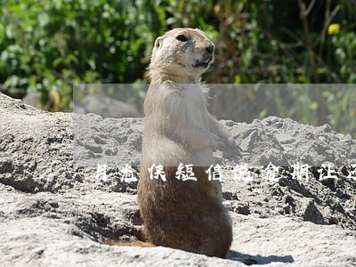 月光侠短信说逾期让还款 月光侠短信说逾期让还款
