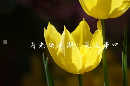 月光侠逾期1天没事吧 月光侠逾期1天没事吧