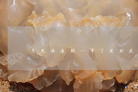 月光侠逾期一年了突然发短信 月光侠逾期一年了突然发短信