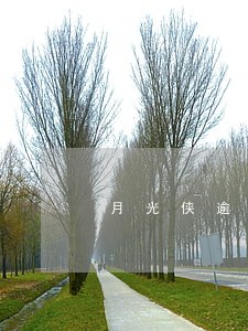 月光侠逾期信息 月光侠逾期信息
