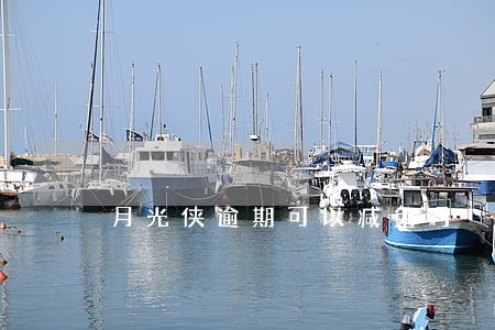 月光侠逾期可以减免吗 月光侠逾期可以减免吗