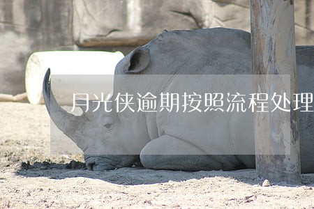 月光侠逾期按照流程处理什么意思 月光侠逾期按照流程处理什么意思
