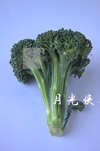 月光侠逾期费好高 月光侠逾期费好高