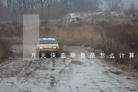 月光侠逾期费是怎么计算的 月光侠逾期费是怎么计算的