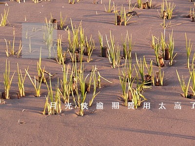 月光侠逾期费用太高了 月光侠逾期费用太高了
