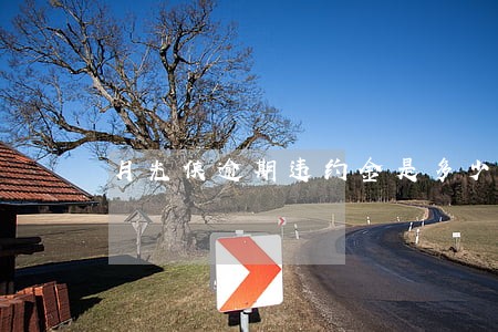 月光侠逾期违约金是多少 月光侠逾期违约金是多少
