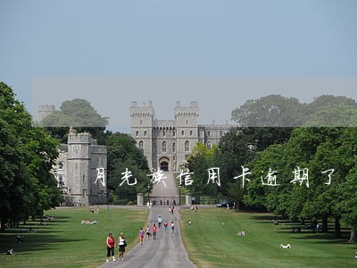月光族信用卡逾期了