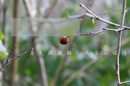 月光族逾期7天会上征信吗 月光族逾期7天会上征信吗