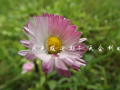 月光族逾期7天会影响个人征信吗 月光族逾期7天会影响个人征信吗
