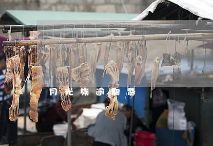 月光族逾期费 月光族逾期费