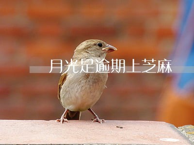 月光足逾期上芝麻