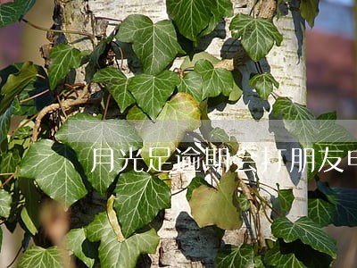 月光足逾期会打朋友电话吗 月光足逾期会打朋友电话吗