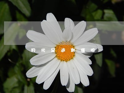 月光足逾期催收 月光足逾期催收