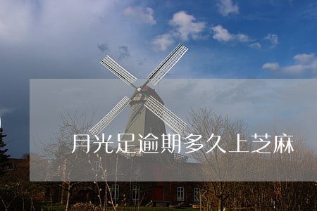 月光足逾期多久上芝麻 月光足逾期多久上芝麻