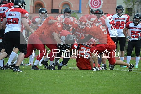 月光足逾期怎么查询 月光足逾期怎么查询