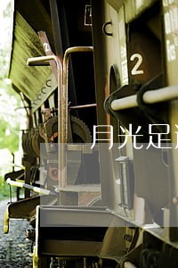 月光足逾期报案 月光足逾期报案