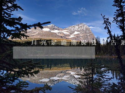 月光足逾期说要通告派出所 月光足逾期说要通告派出所