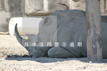 月冲没用显示逾期 月冲没用显示逾期