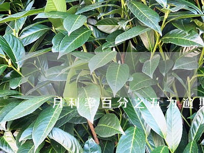 月利率百分之五为逾期利息 月利率百分之五为逾期利息