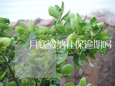 月底缴纳社保逾期吗