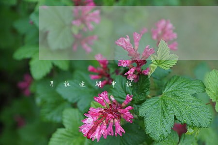 月报逾期申报 月报逾期申报