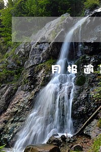 月报逾期申报被拉黑 月报逾期申报被拉黑