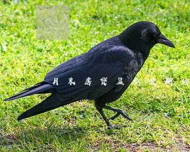 月末房贷显示逾期的原因 月末房贷显示逾期的原因