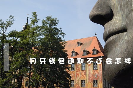 月牙钱包逾期不还会怎样6 月牙钱包逾期不还会怎样6