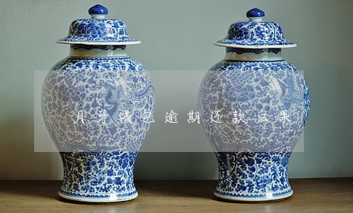 月牙钱包逾期还款后果 月牙钱包逾期还款后果