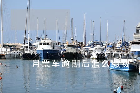 月票车逾期后怎么缴费