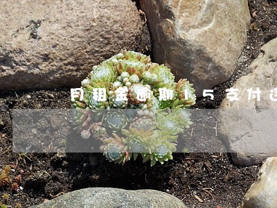 月租金逾期15支付违法吗 月租金逾期15支付违法吗